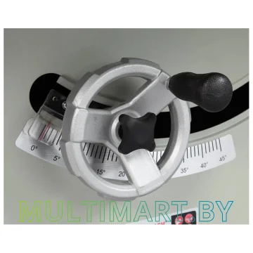 Распиловочный (циркулярный) станок Белмаш TS-250R (S047D) картинка 9